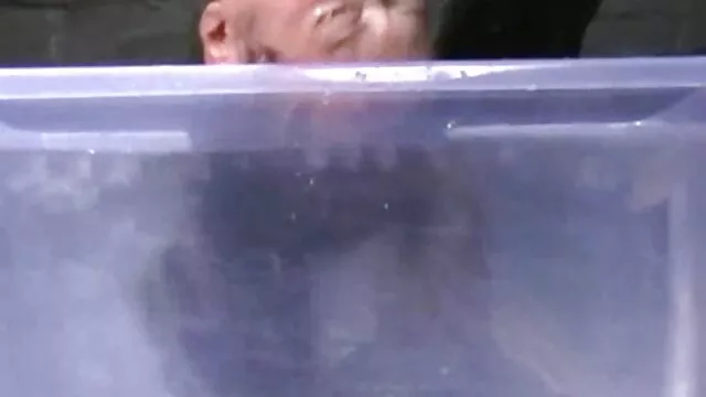 XXX geen registratie  Tieners steken drie pik in tiroler sexfilmpjes Kont extreme