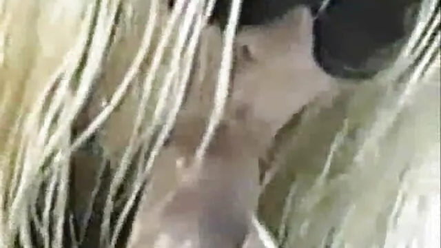 XXX geen registratie  Schoonmoeder geef een jongen een pijpbeurt vol passie, laat hem zien wat leuk bi sex filmpjes is