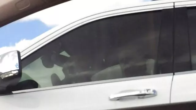 XXX geen registratie  Twee jonge vrouwen en een gespierde man sexfilmpjes met dieren neuken in orgie