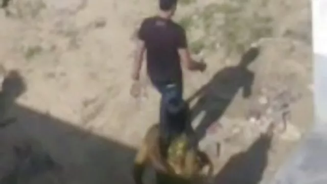 XXX geen registratie  Agent jong model in camera. sex filmpjes met dieren