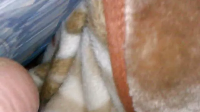 XXX geen registratie  Britney Young zwemt gratis anale sex filmpjes in het zwembad en laat haar naakte vagina zien.