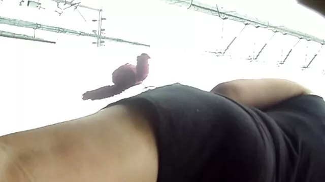 XXX geen registratie  Waar de waterval in een stroom van rust viel. naakte rust gratis sex filmpjes bekijken