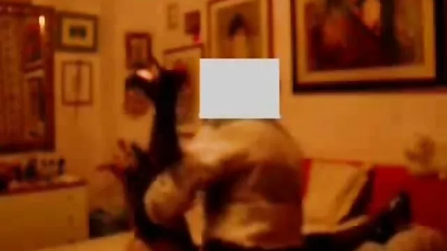 XXX geen registratie  Volwassen vrouwen lichten op met een jonge amateur sexfilmpjes man.